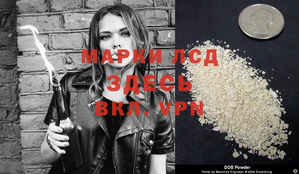 хмурый Алексеевка