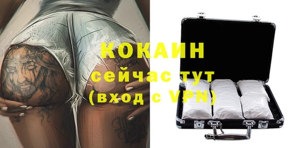 стафф Алзамай