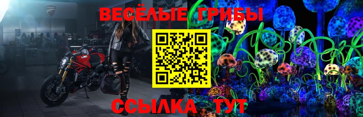 Псилоцибиновые грибы ЛСД  Вход с VPN  наркошоп  Фролово 
